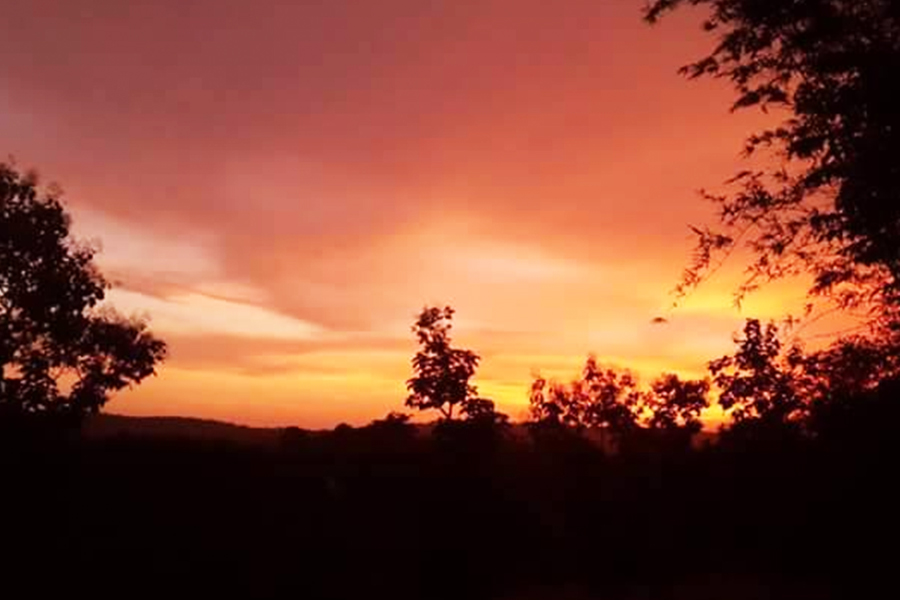 evening-at-heera-farm