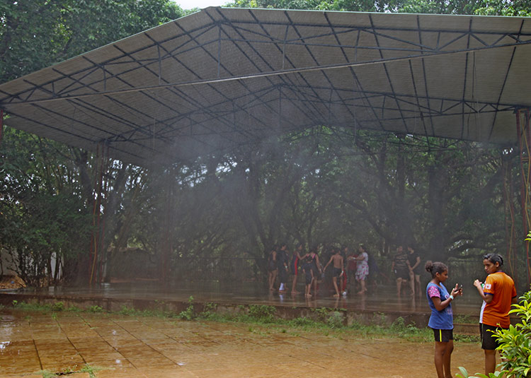farm-in-goa