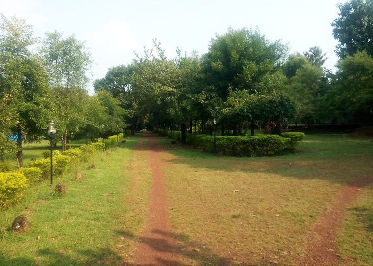 garden-area-at-heera-farm