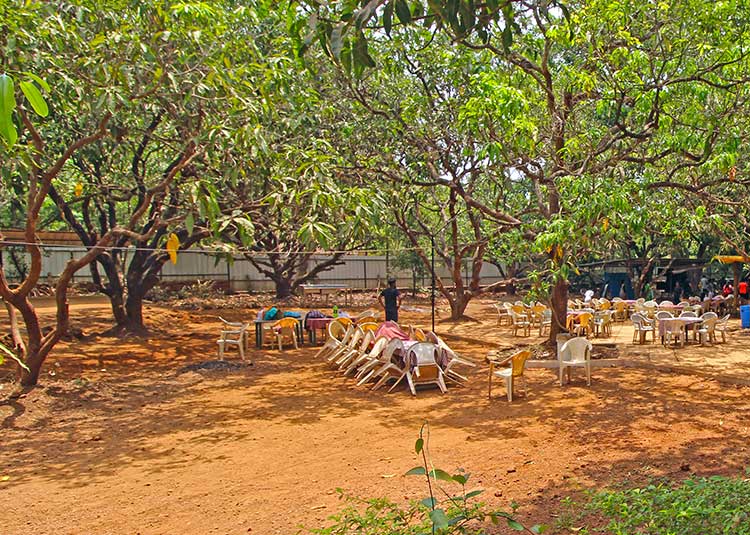 garden-in-goa
