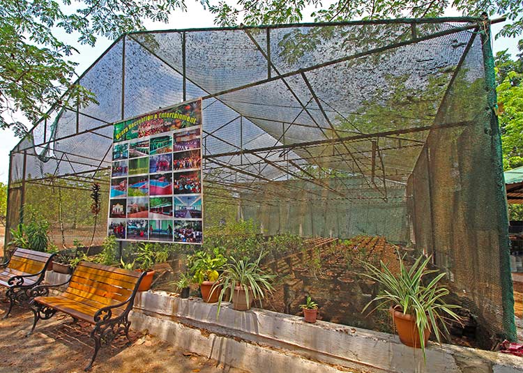 heera-farm-garden