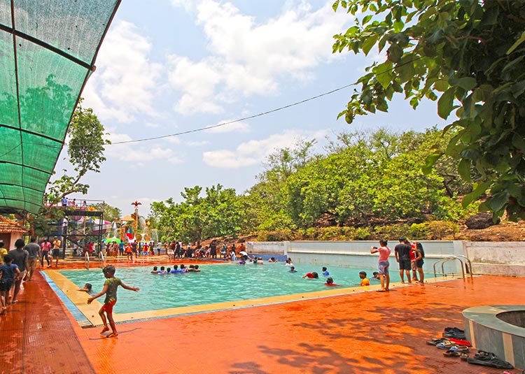 heera-farm-swimming-pool-1