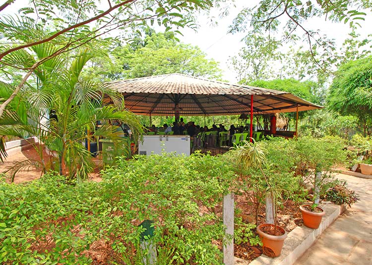 heera-farmhouse-garden