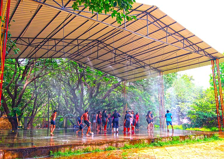 heerafarm-raindance-1