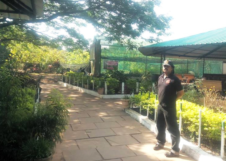 well-maintained-garden-at-heera-farm